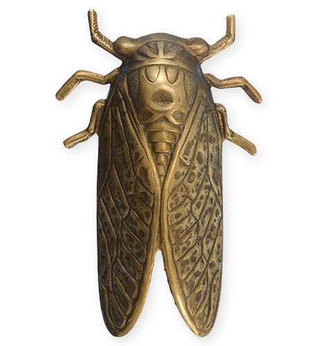 50x31mm Cicada (10 pcs)